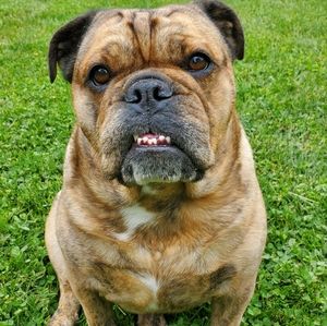 Meet your Posher, Tina